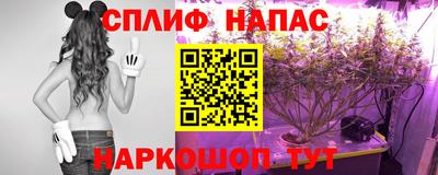 гидропоника Обь