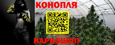 гидропоника Обь